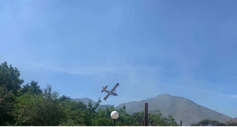 Maxi incendio a Monreale, bruciano boschi e macchia mediterranea
