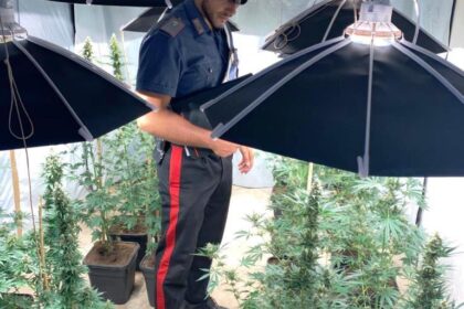 Una piantagione di droga ad Altofonte, in arresto un 26enne