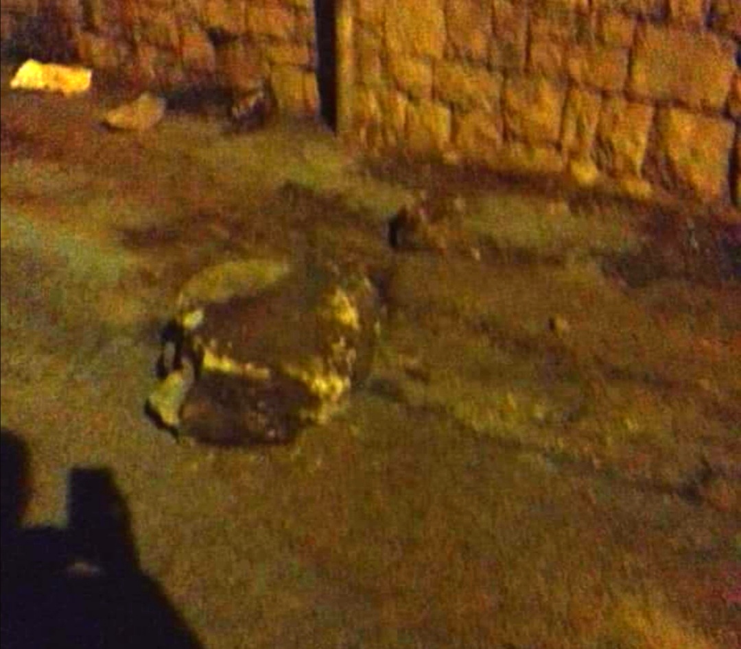 Ad Altofonte le prime frane perché il bosco non c'è più