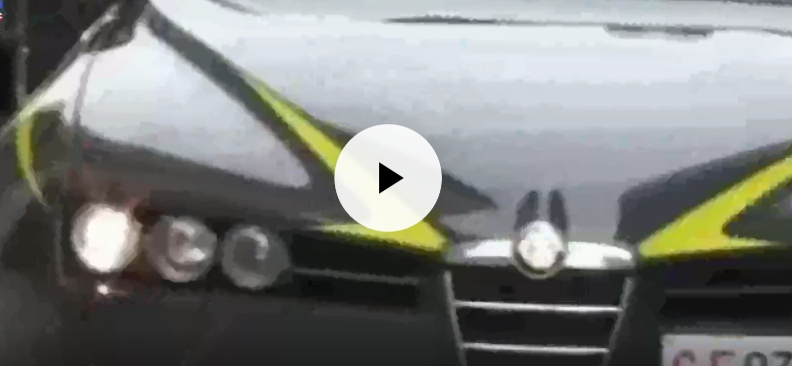 Blitz della Finanza in mezza provincia di Palermo, sequestrati 26 chili di "Cannabis light" (VIDEO)