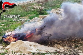 Brucia cavi di rame al Lago di Piana degli Albanesi, arrestato