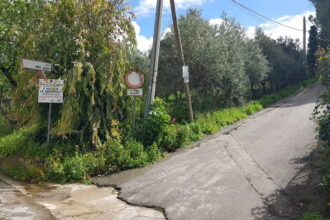 Villetta degli orrori a San Giuseppe Jato, oltre 60 cani rinchiusi in condizioni disumane