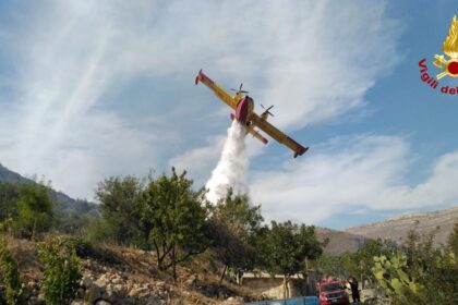 Brucia la Sicilia, fuoco da Palermo ad Altofonte, ad Alcamo: in fumo ettari di bosco