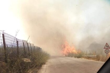 Grave incendio tra San Giuseppe Jato e Piana degli Albanesi, "Azione criminale"