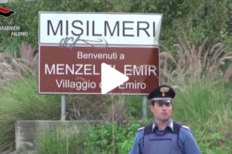 Piantagione di droga a Misilmeri, blitz dei Carabinieri (VIDEO)