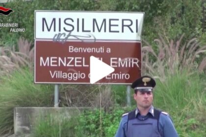 Piantagione di droga a Misilmeri, blitz dei Carabinieri (VIDEO)
