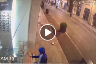 Sfonda la vetrina e fa razzie, colpo a Palermo all’ottica Minacapelli di via Maqueda (VIDEO)