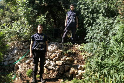 Sequestrata maxi piantagione di droga a Carini, valeva 350mila euro