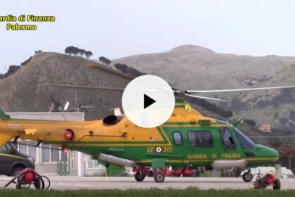 Scoperta a Partinico una piantagione di droga per 100 mila euro