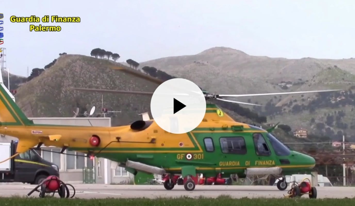 Scoperta a Partinico una piantagione di droga per 100 mila euro