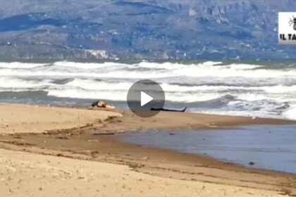 Un cadavere senza gamba e in decomposizione sulla spiaggia, giallo a Balestrate (VIDEO)