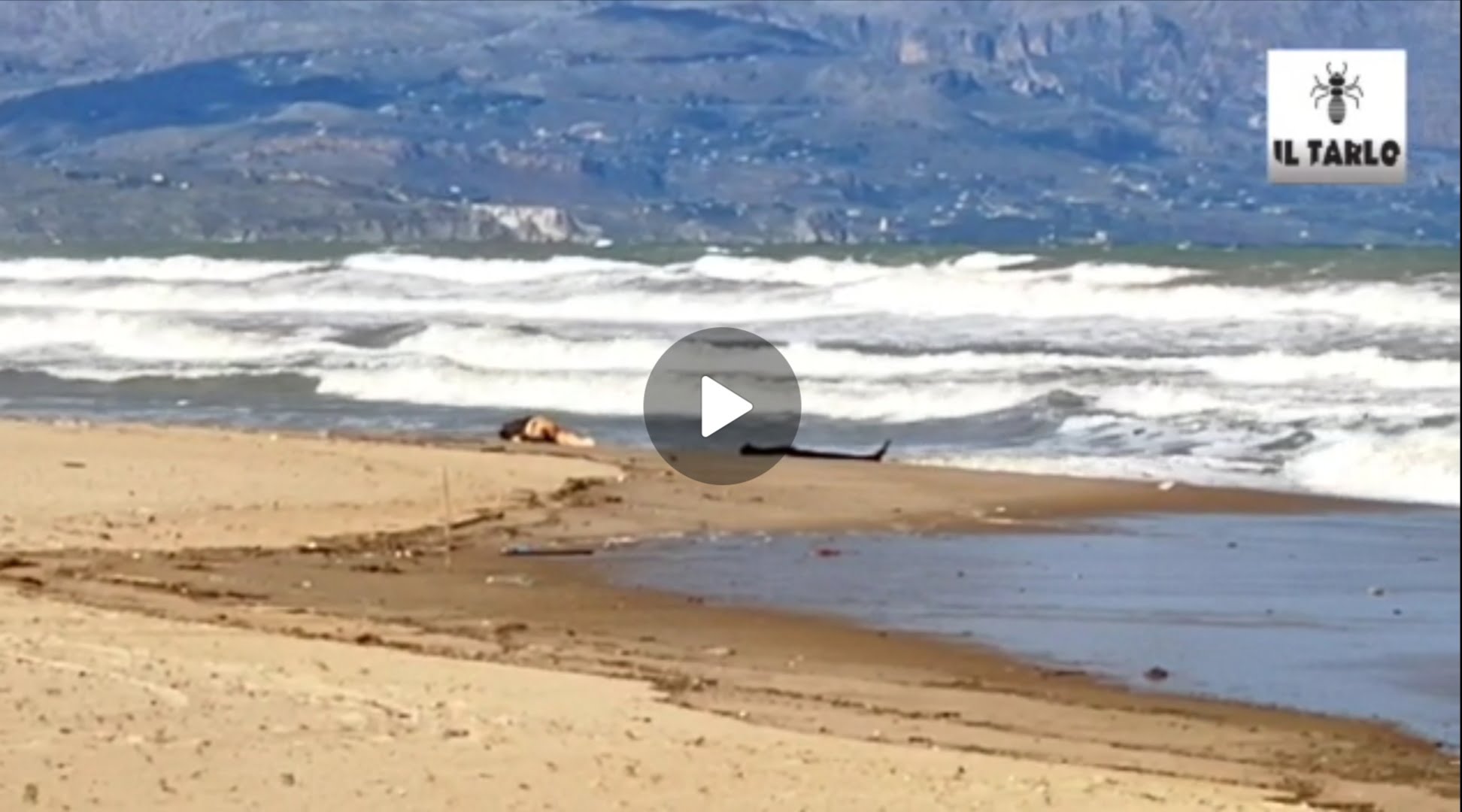 Un cadavere senza gamba e in decomposizione sulla spiaggia, giallo a Balestrate (VIDEO)