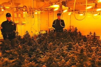 A Misilmeri la piantagione nella villetta, arrestata una coppia