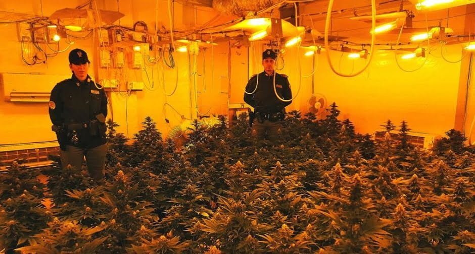 A Misilmeri la piantagione nella villetta, arrestata una coppia