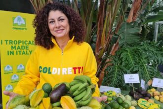 Boom di coltivazioni di frutta esotica in Sicilia grazie al clima tropicale