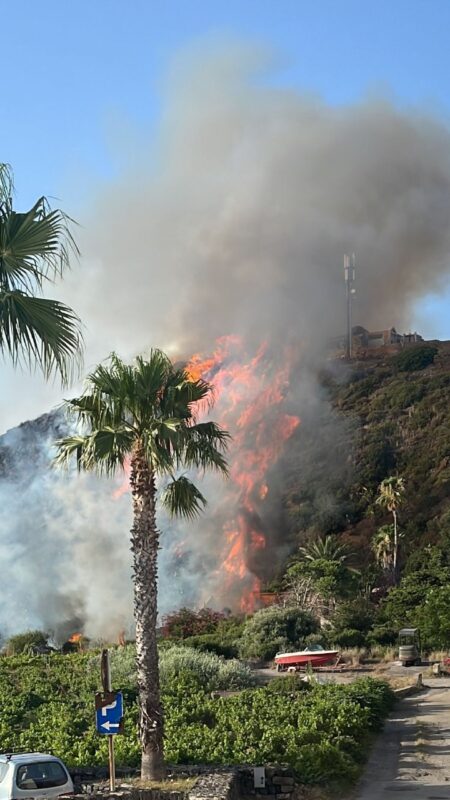 Apocalisse in Sicilia, notte di fuoco e paura ovunque: aeroporto di Palermo chiuso Palermo - Notte di paura e caos in Sicilia, con vasti incendi che hanno costretto alla chiusura dell'aeroporto di Palermo e minacciano abitazioni e infrastrutture. Le fiamme divampano senza controllo da Palermo fino ad Alcamo, alimentate dal caldo record e dai forti venti.
