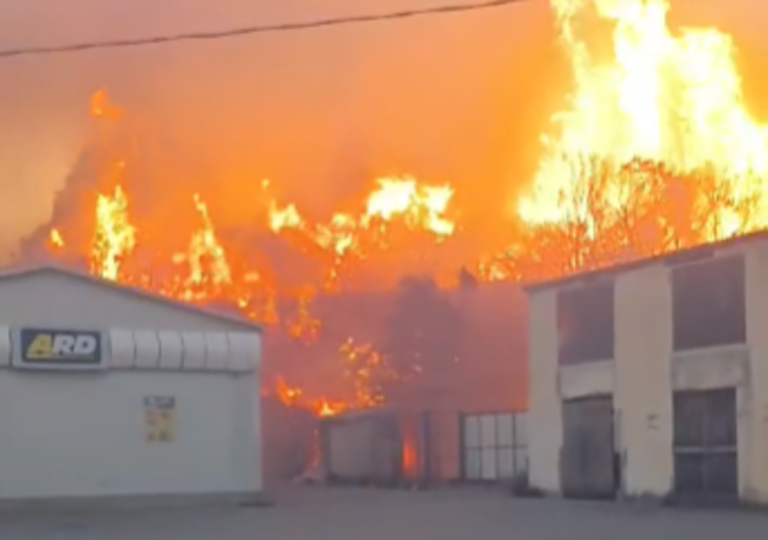 20 ottobre incendi sicilia