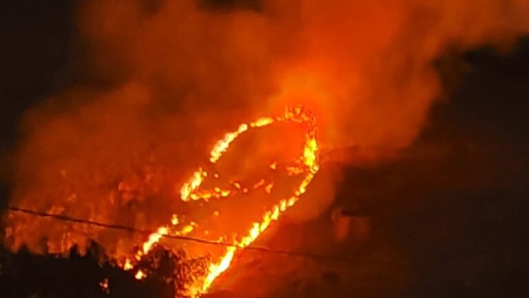 inferno di fuoco ad altavilla milicia fiamme minacciano la montagna a grotta mazzamuto discover