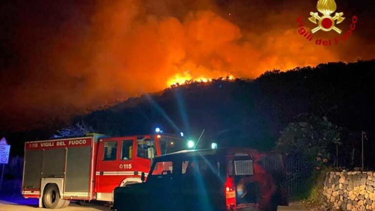 appicca incendio e distrugge 20 ettari arrestato piromane dai carabinieri discover