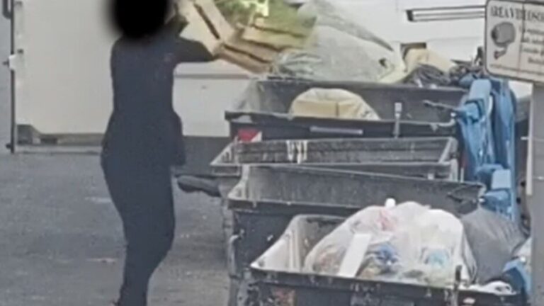 Scovati e multati 2000 palermitani sporcaccioni in 10 giorni con le fototrappole