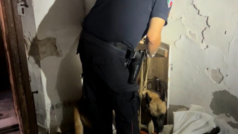 due arresti dei carabinieri a palermo droga a borgo vecchio e rapina al foro italico discover
