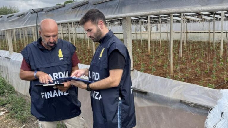 lavoratori in nero percettori di adi e stipendi in contanti blitz della guardia di finanza discover